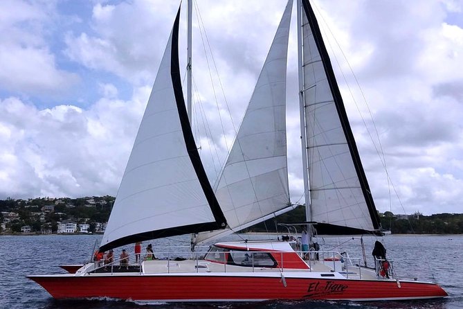 Barbados Catamaran Turtle and Shipwreck Snorkeling Cruise - Inclusions in the Tour