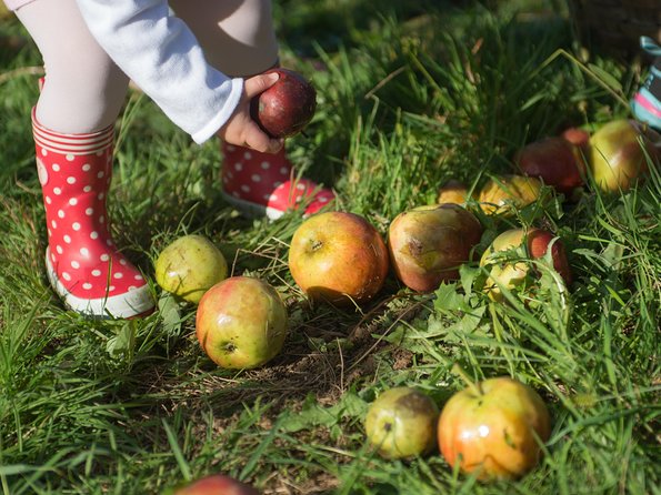 Basque Cider House Guided Tour + Meal From San Sebastian - Meeting and Pickup Details