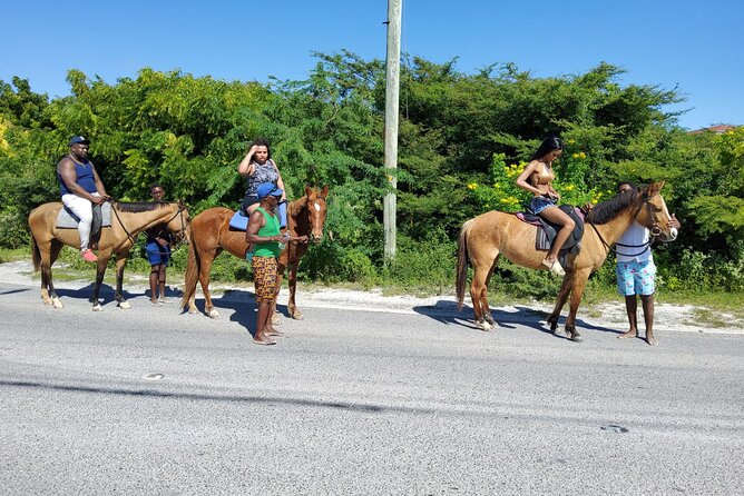 Beach Trail and Swim. Cockburn Town, Grand Turk, Turks and Caicos - Included Refreshments