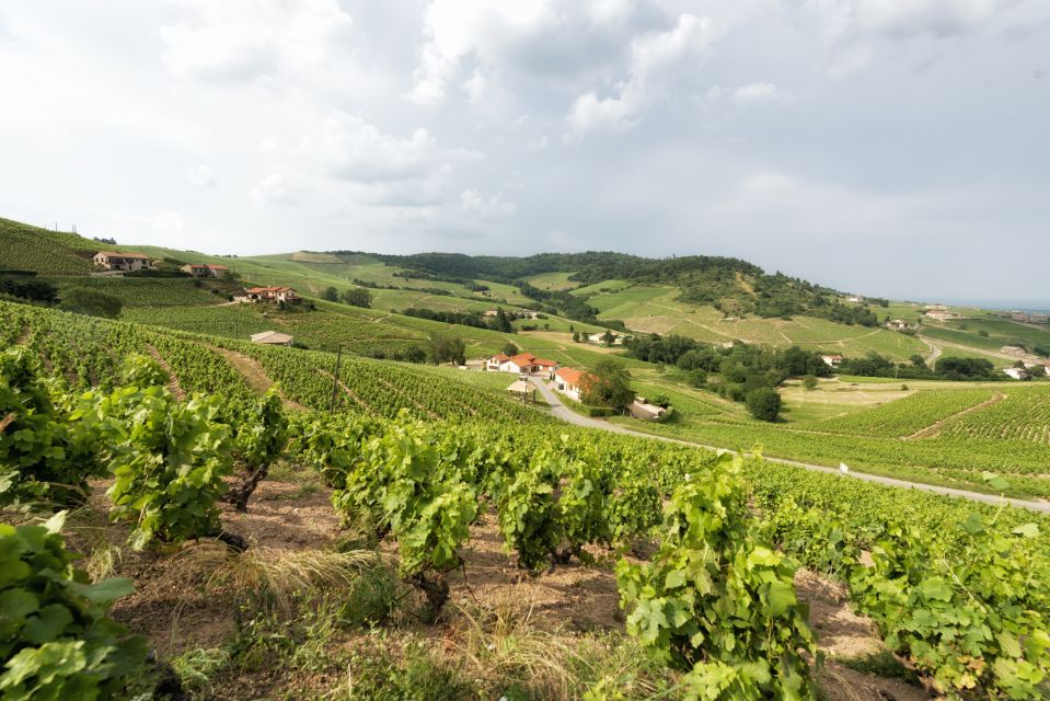 Beaujolais: Segway Tour With Wine Tasting - Visiting the Medieval Village of Oingt