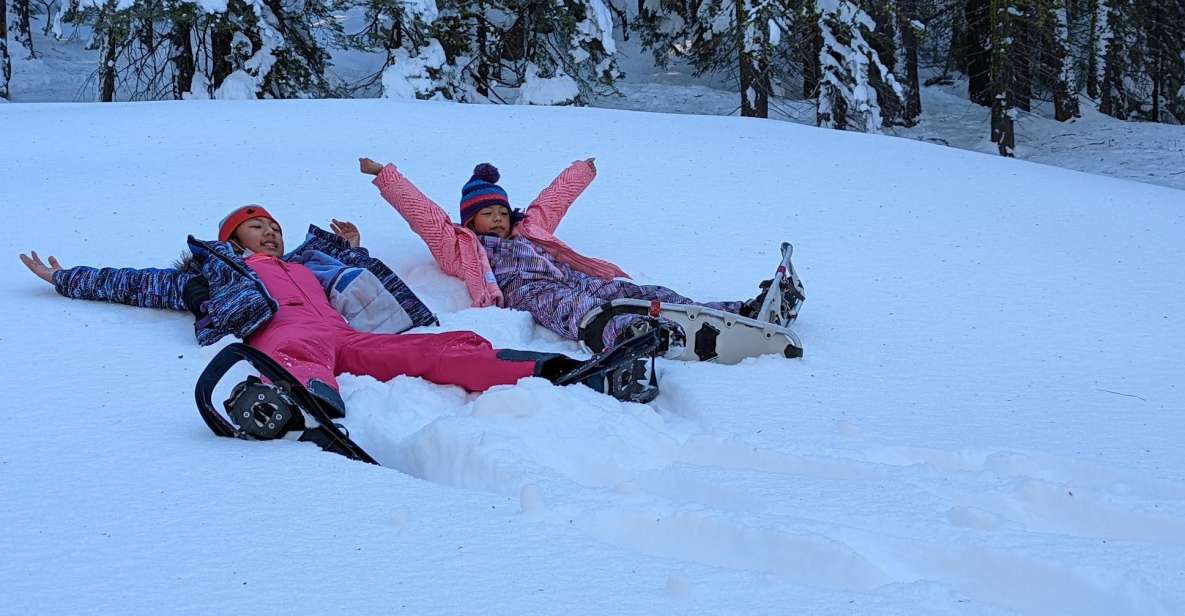 Beginner and Family Snowshoe Tour - Scenic Landscapes Explored