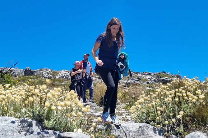 BEST of Table Mountain! Exhilarating Full-day Guided Hike - Booking and Cancellation Policy