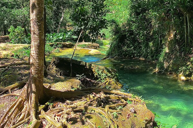 Blue Hole Ocho Rios Day Trip From Montego Bay - Activities at Blue Falls