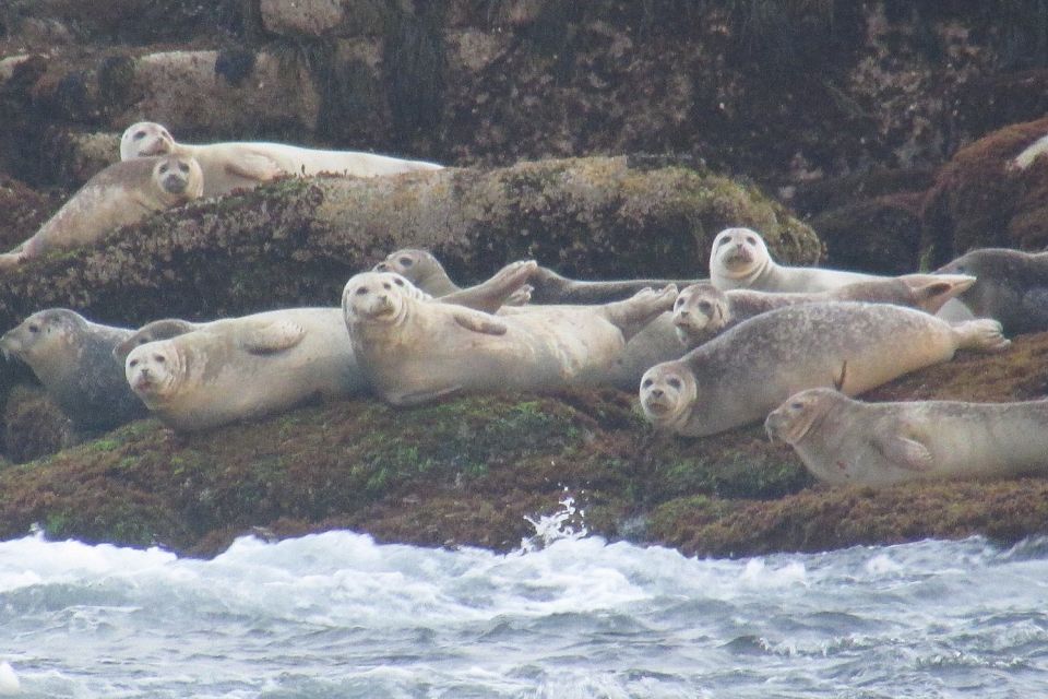 Boothbay Harbor Cruise: Lighthouses, Lobster Haul, and Seals - Exploring Boothbay Harbor