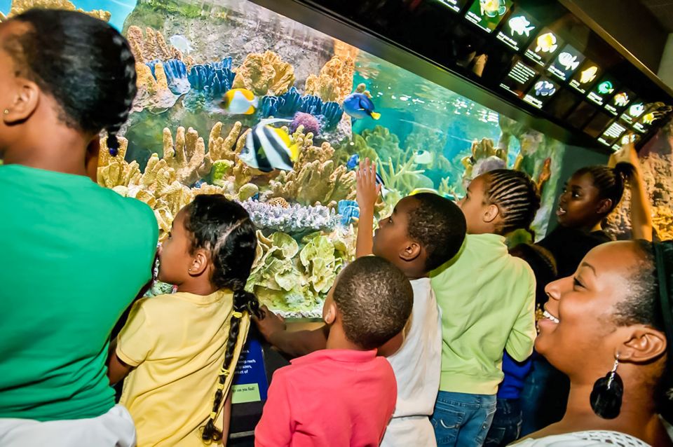 Boston: New England Aquarium Skip-the-Line Entry Ticket - Immersive Aquarium Experiences