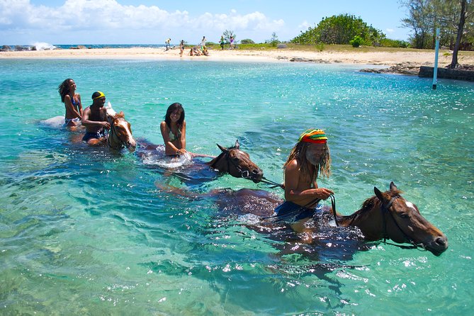 Braco Stables Horseback Ride and Swim Excursion From Runaway Bay - Transportation and Pickup