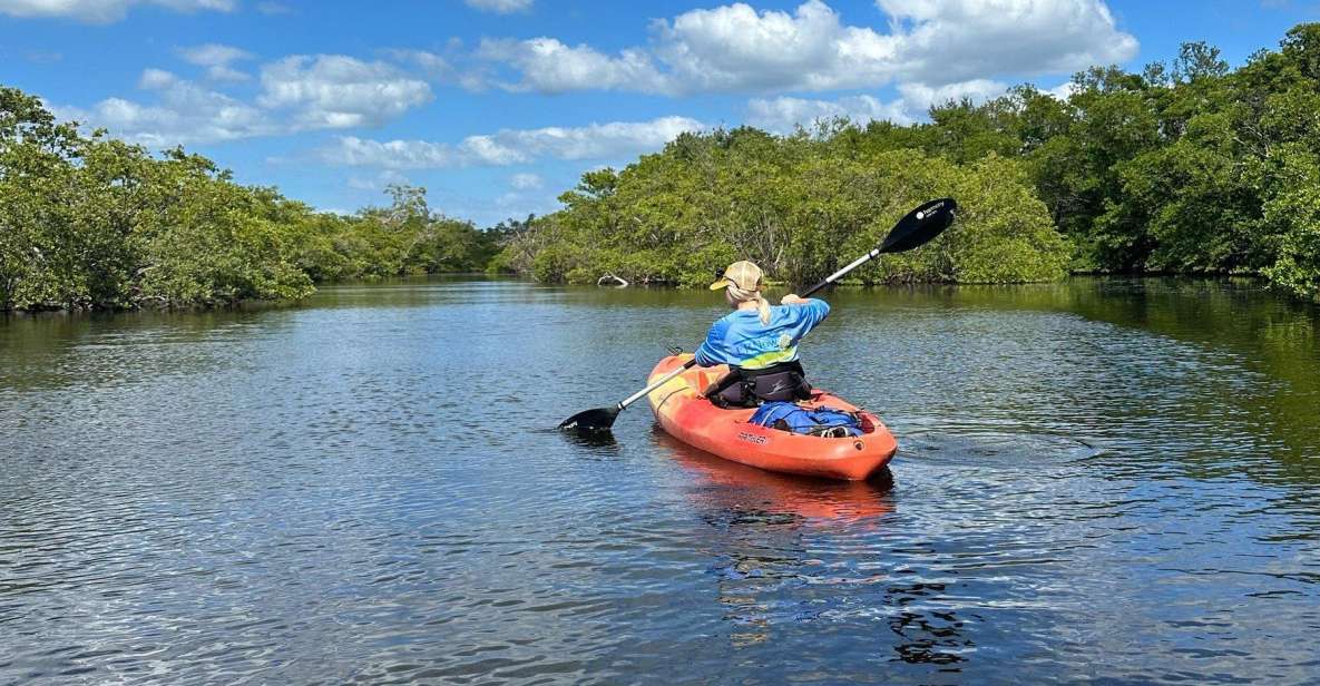 Bradenton: Anna Maria Island Guided Kayaking Manatee Tour - Meeting Point and Customer Feedback