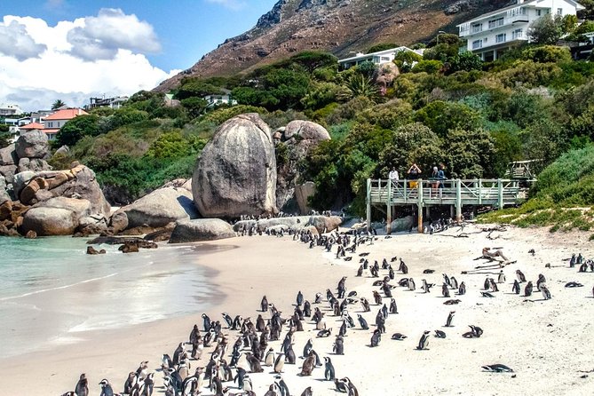 Breath-taking Cape Peninsula Tour - Views From Chapmans Peak