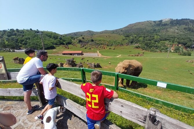 Cabarceno Natural Park Visit - Meeting and Pickup