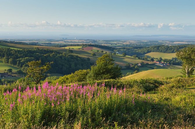 Canterbury & the White Cliffs of Dover Tour (Small-Group) - Customize Your Experience