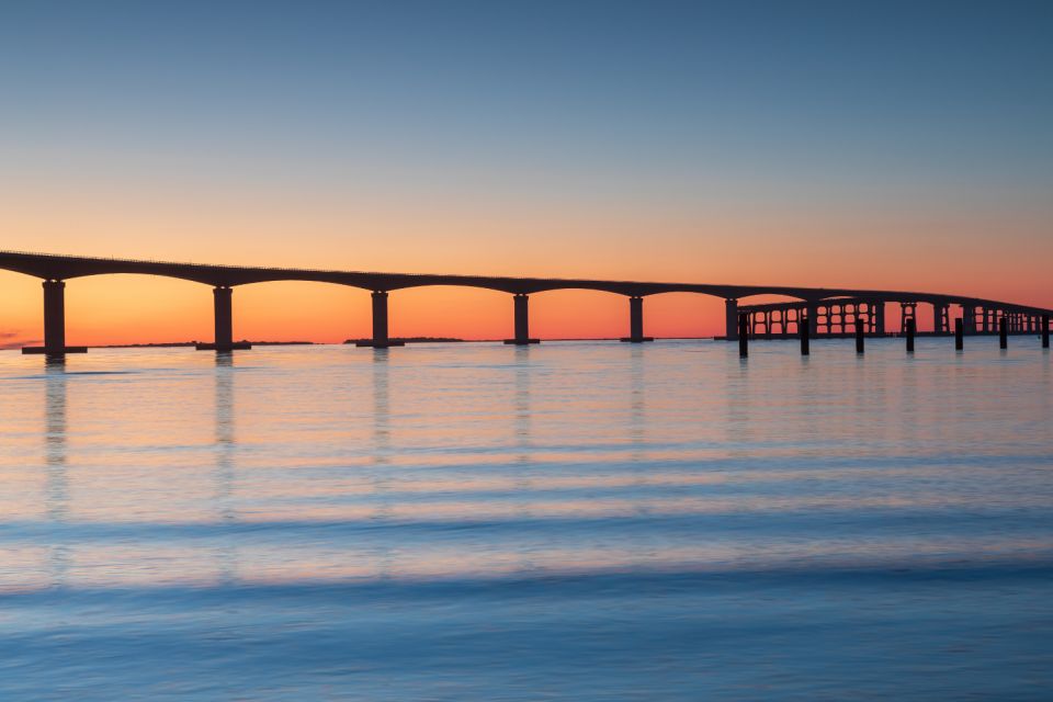 Cape Hatteras National Seashore: A Self-Guided Driving Tour - Wild Horses of the Outer Banks