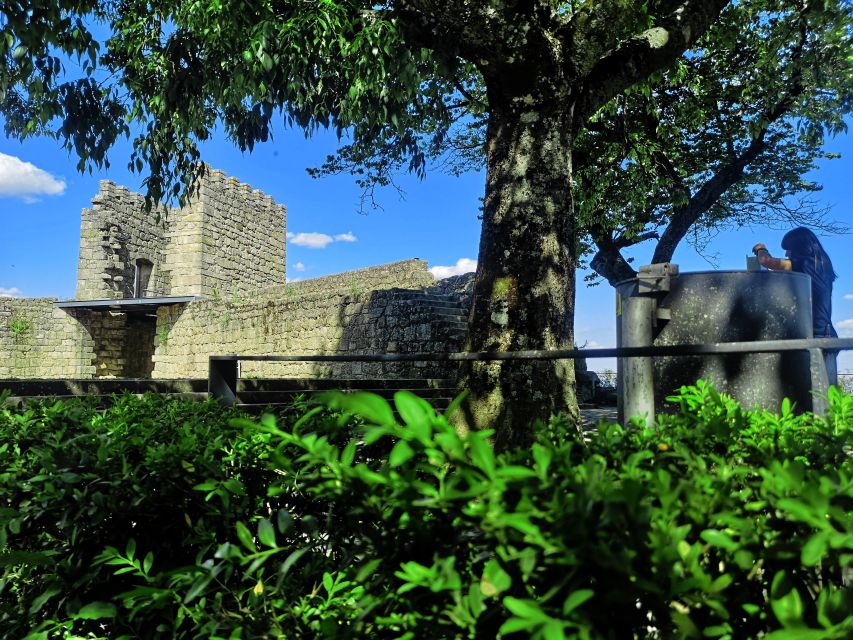 Castelo Branco: Culture and History Guided Tour With Museums - Booking Information