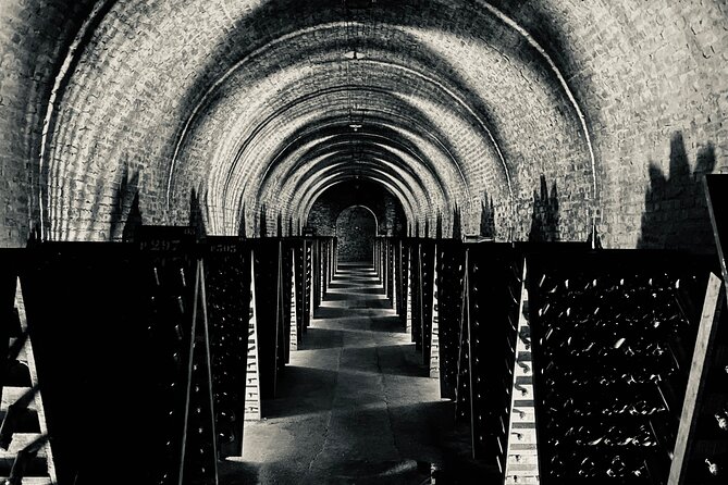 Champagne Cellars & Vineyards Tour From Reims Full Day - Champagne Tastings With Sommelier