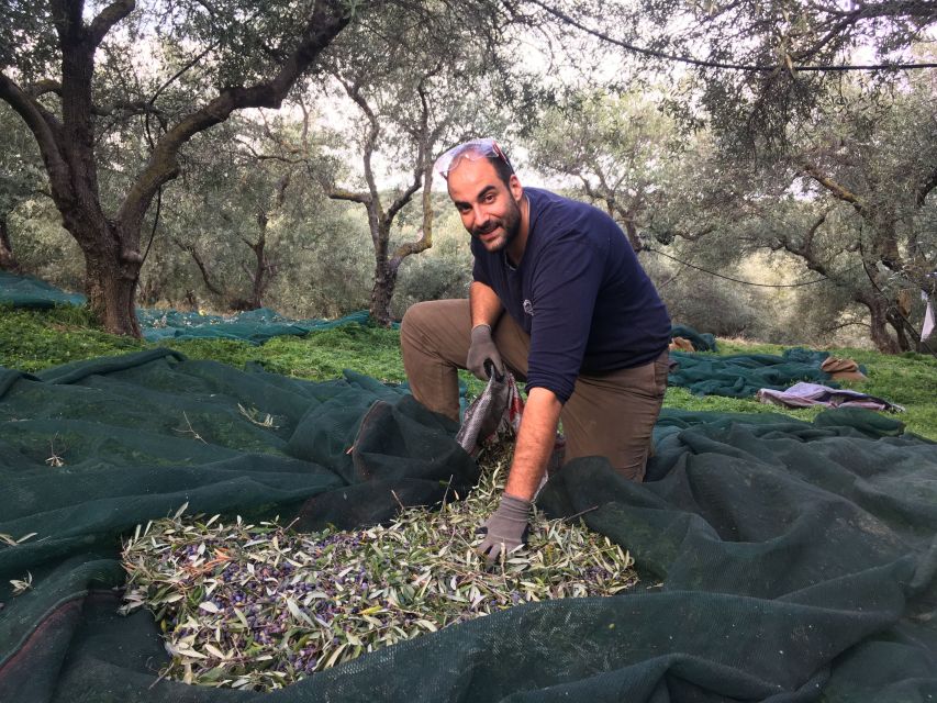 Chania Private Olive Oil Tour: Oil Tasting & Villages Tour - Inclusions