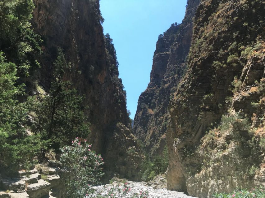 Chania to Samaria Gorge: Private Transfer Tour - Guided Experience