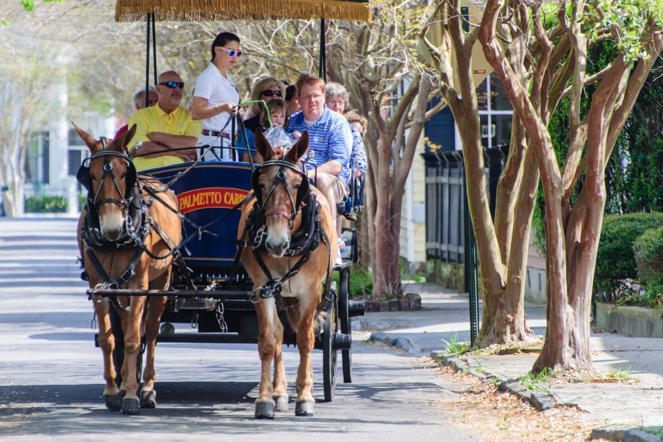 Charleston: 1-Hour Carriage Tour of the Historic District - Exploring Charleston