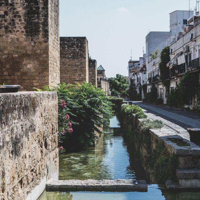 Cordoba: 3-Hour Private Walking Tour - Exploring the Mosque-Cathedral