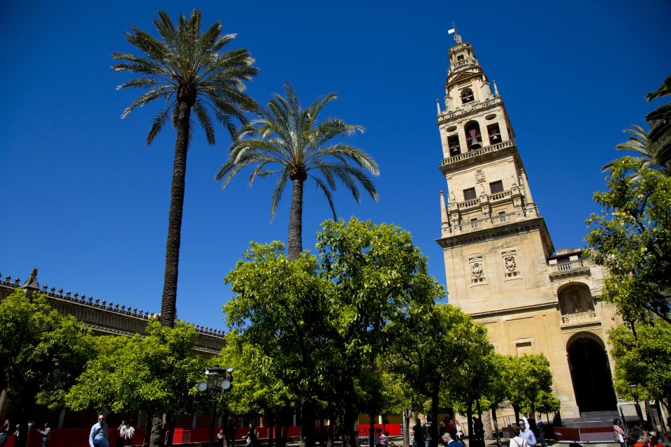 Cordoba: Mosque-Cathedral & Jewish Quarter Private Group - Tour Cancellation Policy