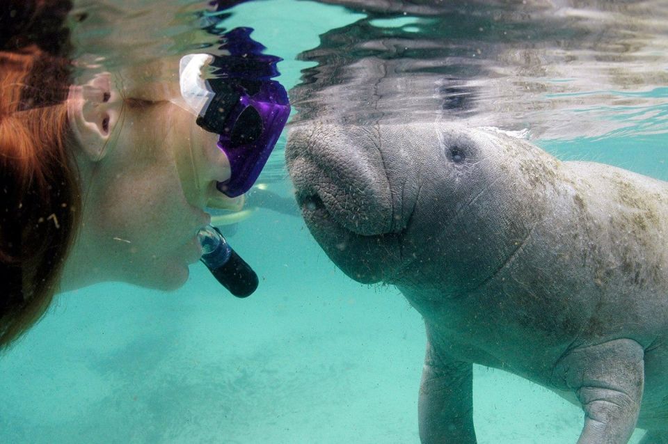 Crystal River: VIP Manatee Swim W/ In-Water Photographer - Pricing and Reservation