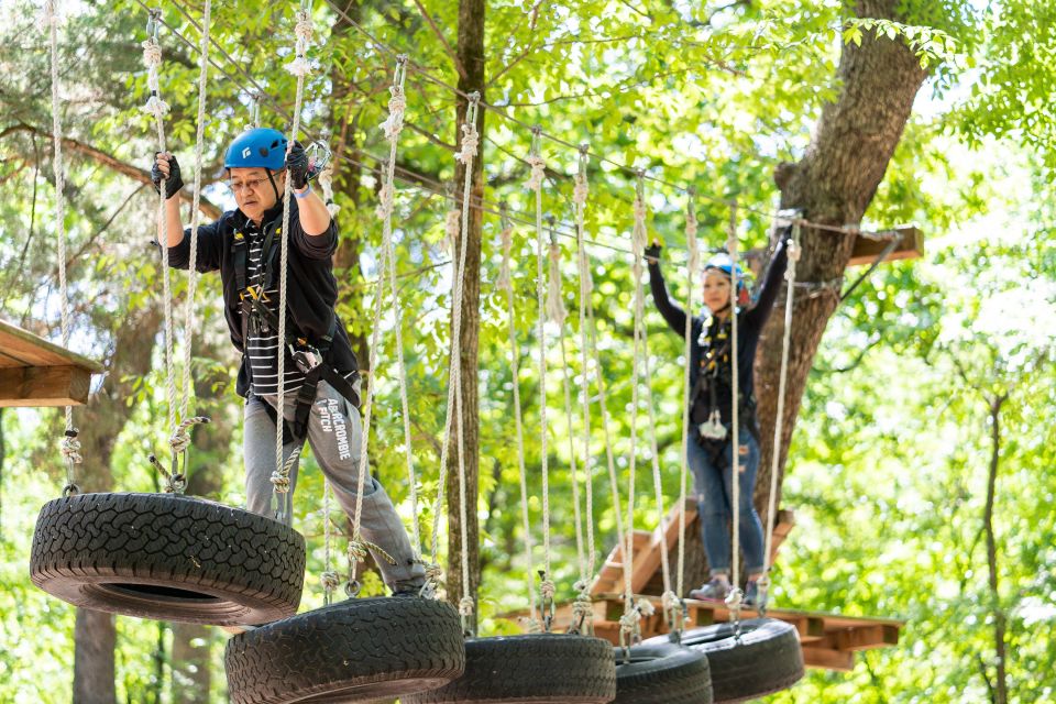 Dallas: Aerial Adventure Course Park Pass - Treetop Experiences