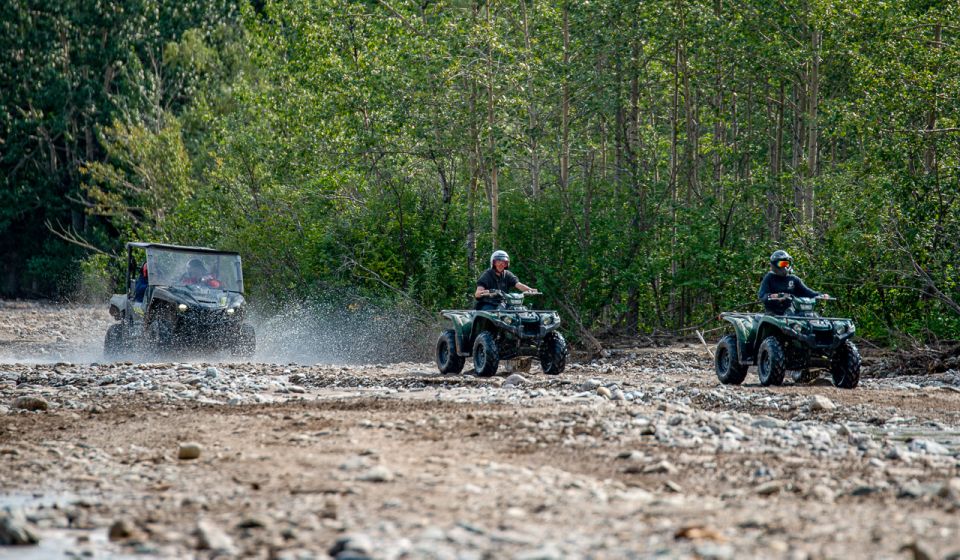 Denali National Park: Wilderness ATV Adventure - Navigating Rugged Terrain