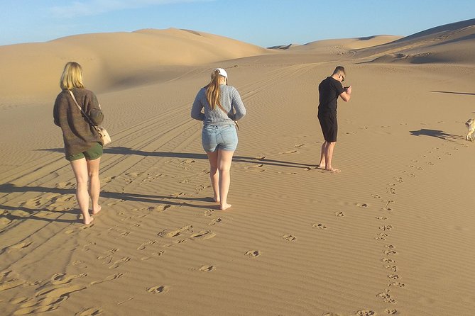 Desert and Wild Beach Day Trip With Meal - Accessible for All Travelers