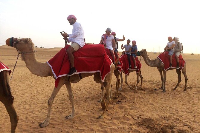 Desert Camel Ride With Live Shows & BBQ Buffet Dinner - Pricing and Reviews