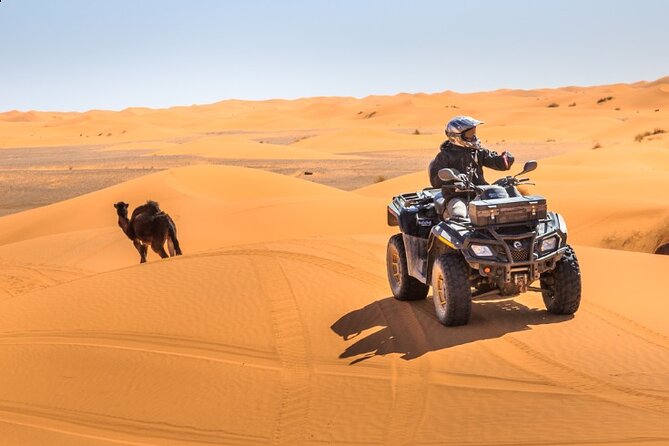 Desert Safari Dubai - Booking and Confirmation