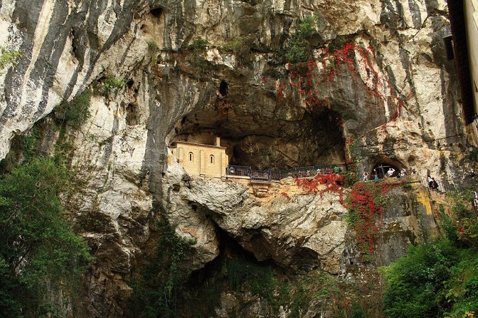 Direct Tour to Covadonga Lakes Picos De Europa From Oviedo - Accessibility and Participation