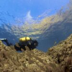 Diving Baptism In The Marine Reserve Of Cabo Tiñoso Overview Of The Experience