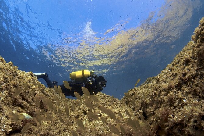 Diving Baptism in the Marine Reserve of Cabo Tiñoso - Overview of the Experience