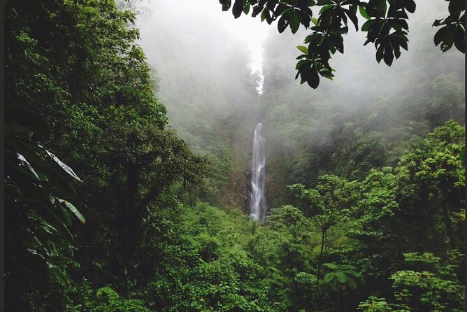 Dominica Chasing Waterfalls Experience - Expert Guidance