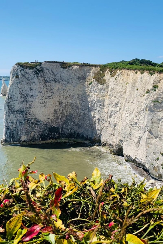 Dorset : Old Harry Rocks and Corfé Castle Guided E-bike Tour - Scenic Views En Route