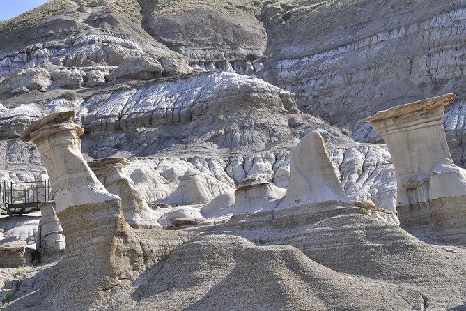 Drumheller (Dinosaur Valley) & Horseshoe Canyon 1-Day Tour - Discovering Horseshoe Canyon