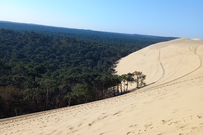 Dune Du Pilat and Oysters Tasting in Only 1 Hour Away From Bordeaux! What Else? - Additional Information