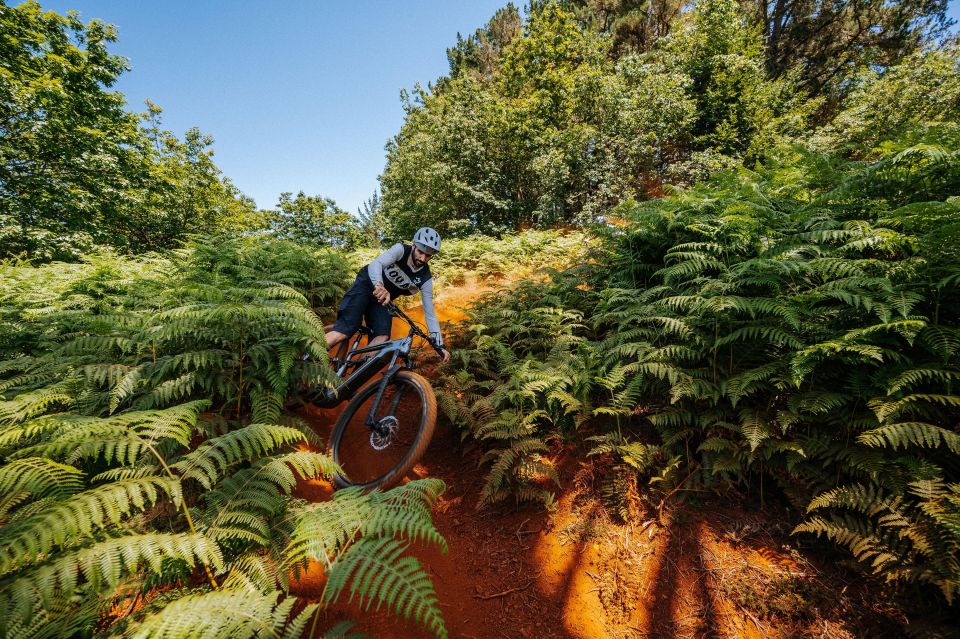 E-Bike Guided Tour - Belle Vue Mountain Biking - Scenic Viewpoints