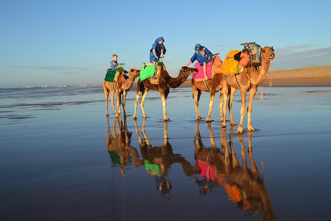 Essaouira 2-Hour Camel Adventure Ride - Experience Accessibility and Requirements