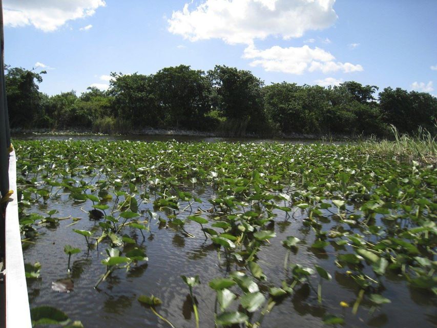 Everglades Airboat Tours and Rides - Transportation and Amenities