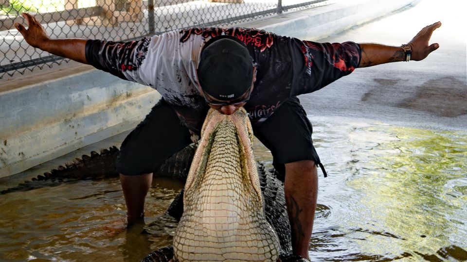 Everglades: Guided Kayak and Airboat Tour - Spotting Everglades Wildlife