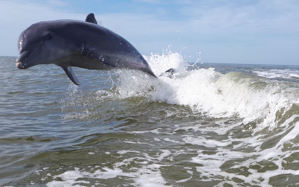 Everglades National Park: Motorboat Eco Tour - Exploring the Islands