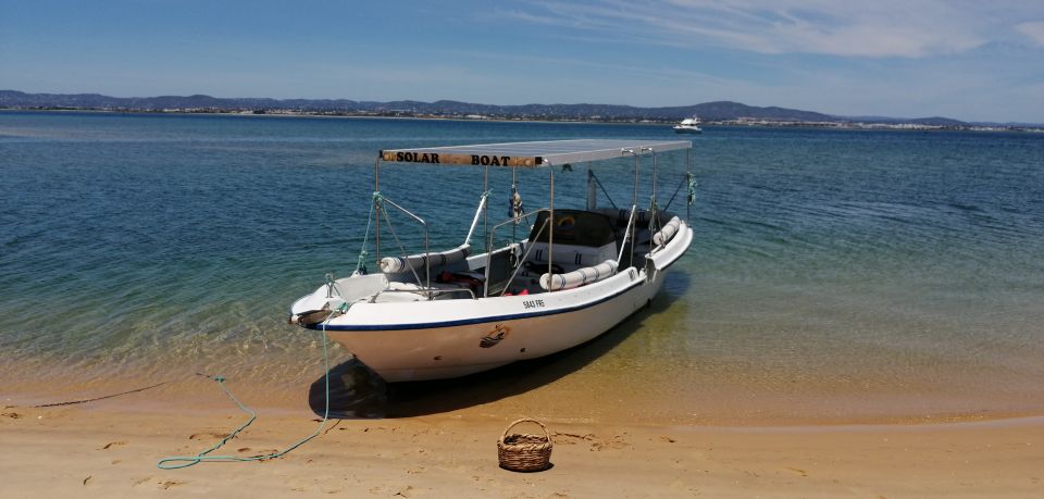 Faro: Eco-Friendly Ria Formosa Bird Watching in Solar Boat - Important Information and What to Bring