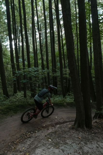 Forest Of Dean: Mountain Bike Tour - Not Suitable For