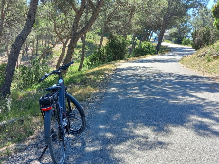 From Aix-en-Provence: Luberon Region E-Bike Full-Day Tour - Marveling at Provences Beautiful Landscapes