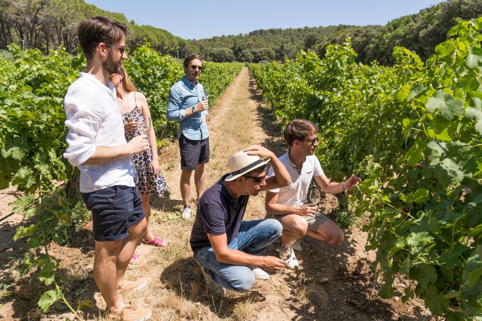 From Aix-en-Provence: Wine Tour in Cezanne Countryside - Important Information to Note