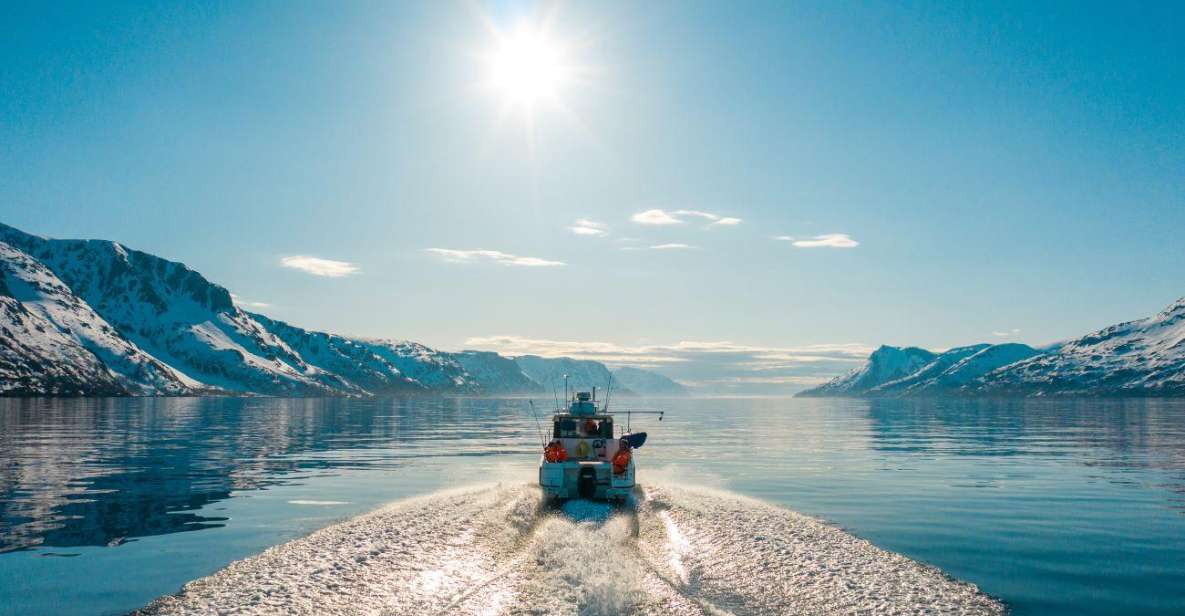 From Alta: Adventure Cruise in Alta Fjord - Frequently Asked Questions