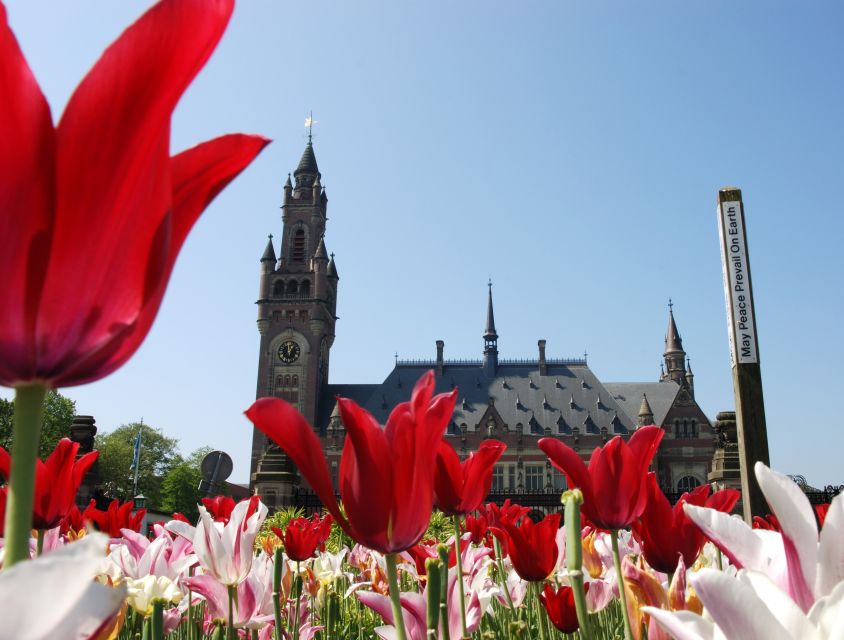 From Amsterdam: Kinderdijk and the Hague Tour With Museums - Transportation and Inclusions