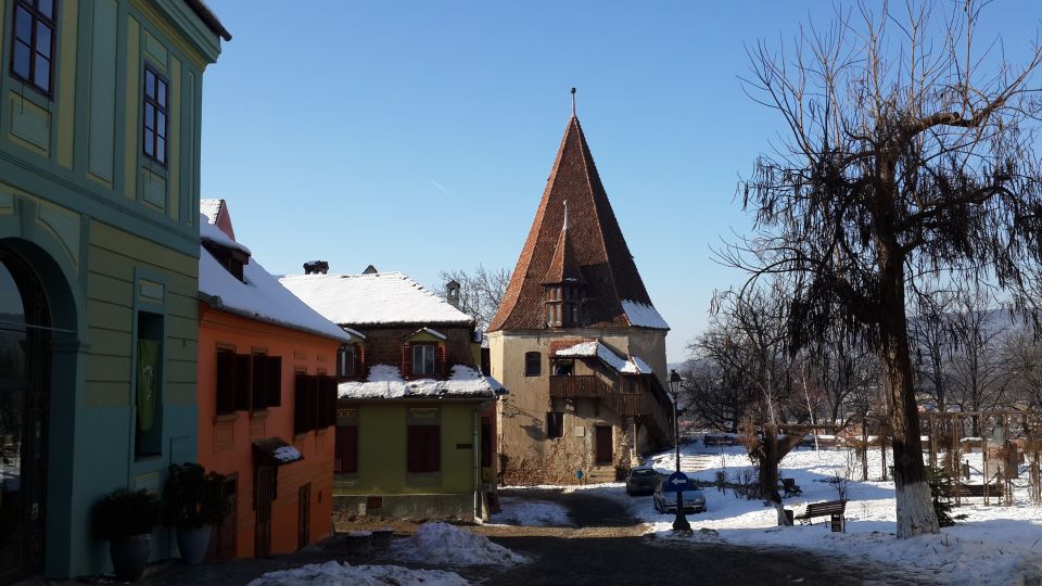 From Brasov: Guided Sighisoara and Sibiu Private Day Trip - Sighișoara Citadel Exploration