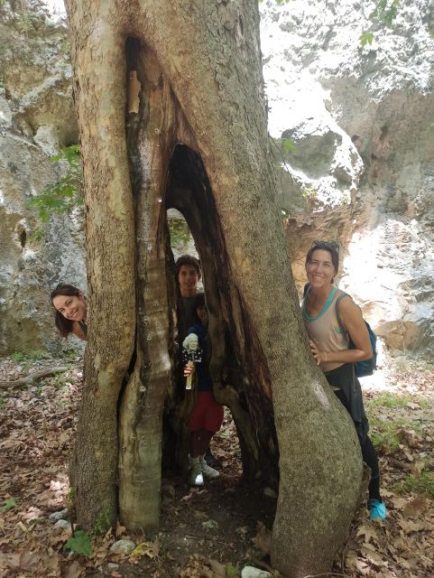 From Chania: Agia Irini Gorge Hike & Beach Relaxation - Wildlife and Endemic Species