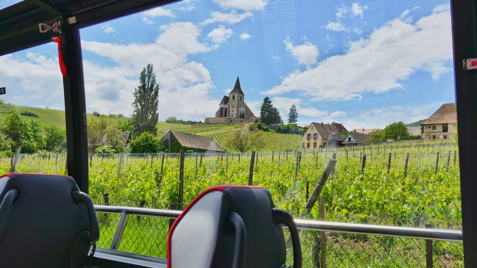 From Colmar: Alsace Medieval and Wine Tasting Day Tour - Inclusions