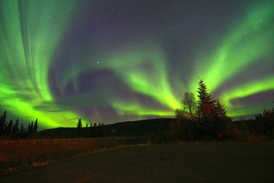 From Fairbanks: Northern Lights & Murphy Dome Tour - Experience Highlights